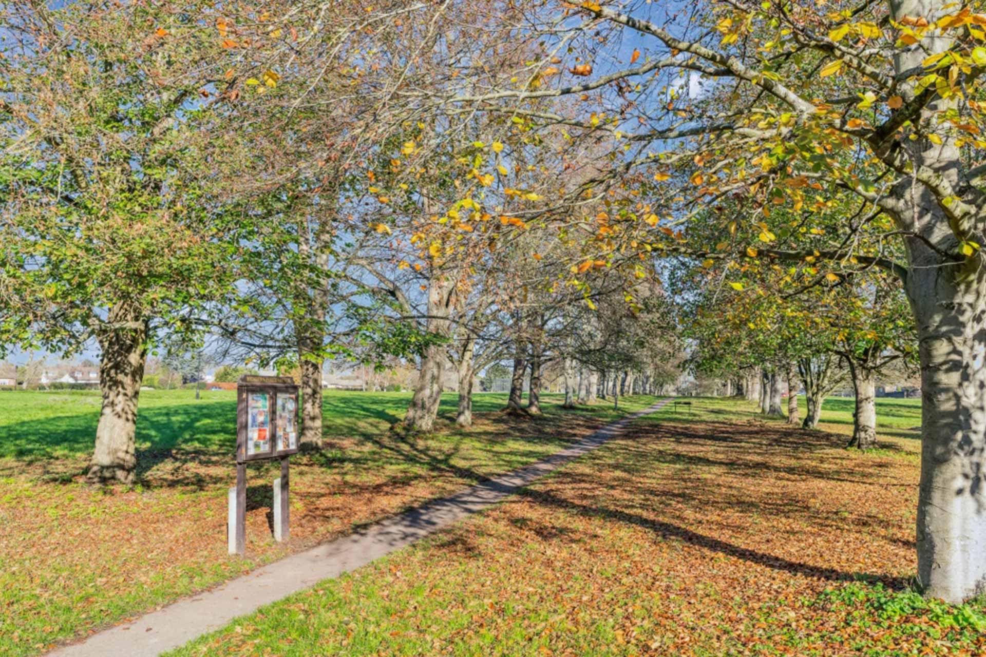 <span style="color:hsl(187, 100%, 16%);">Our </span><span style="color:hsl(45, 100%, 39%);">Services</span>