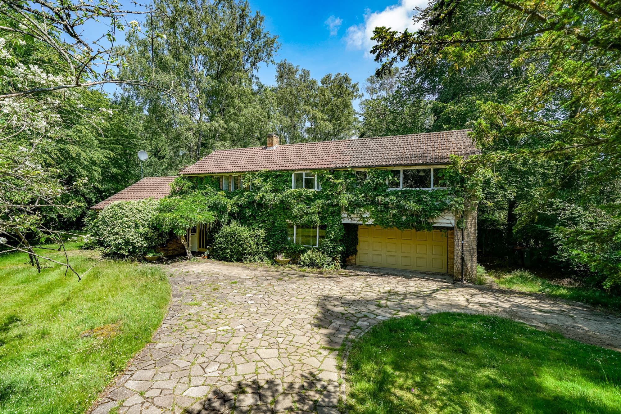 Oldhill Wood, Studham, LU6