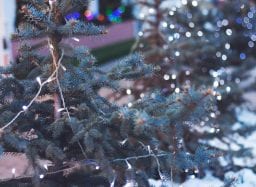 Christmas Market