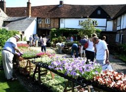 Markyate Plant Sale